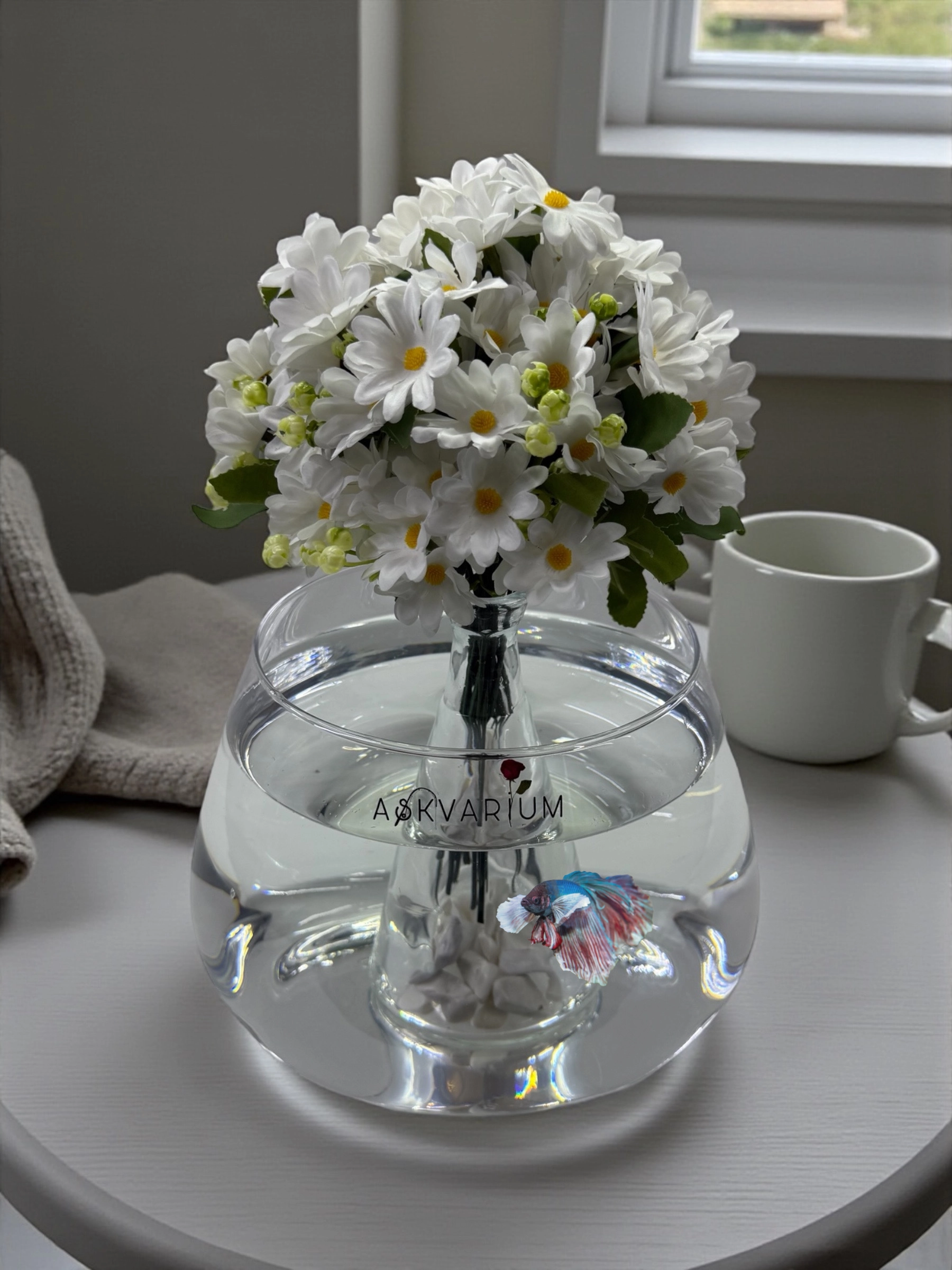 Beyaz Papatya Fanus Aranjmanı