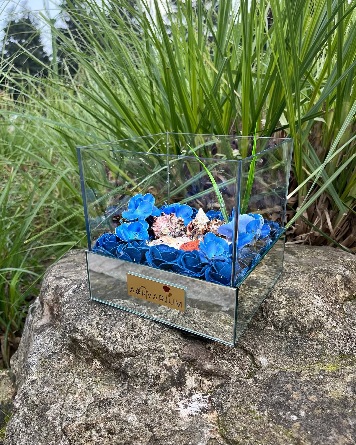 Blouve Askvarium