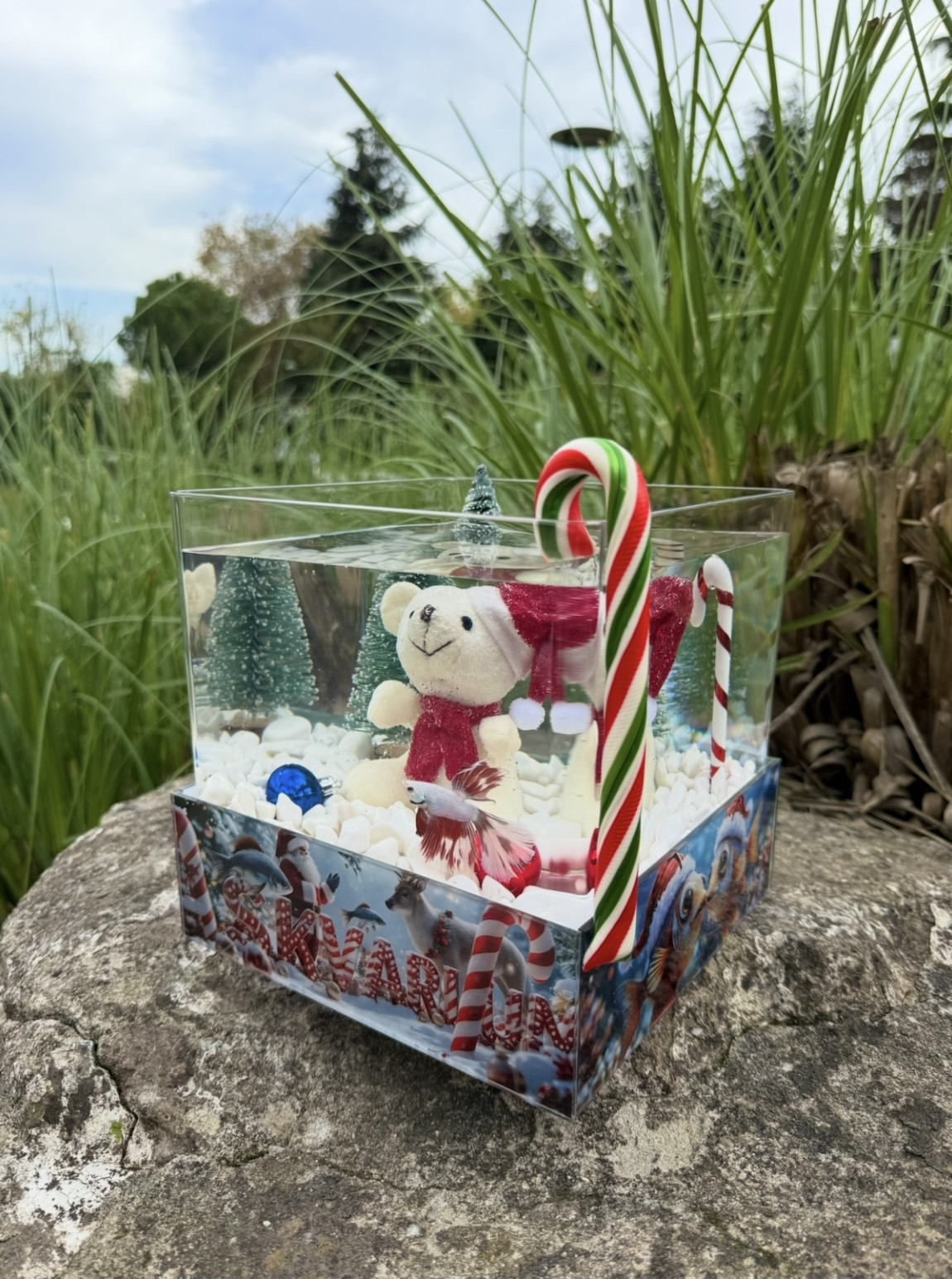 Christmas Askvarium 2026