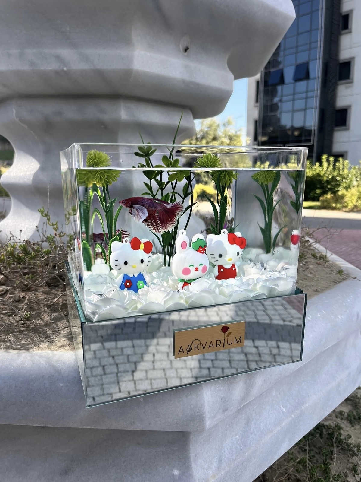 Hello Kitty Lol Askvarium