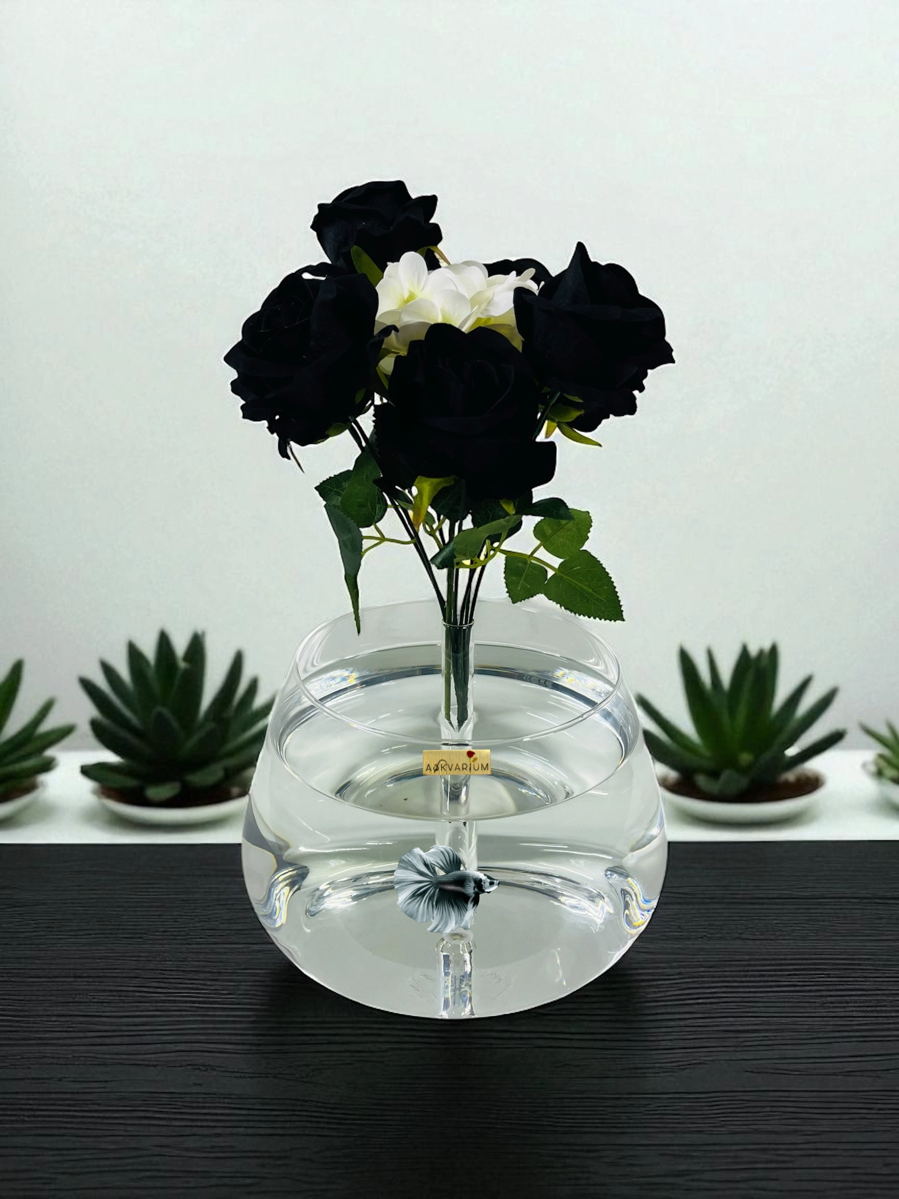 Klopsy Cam Fanus Askvarium