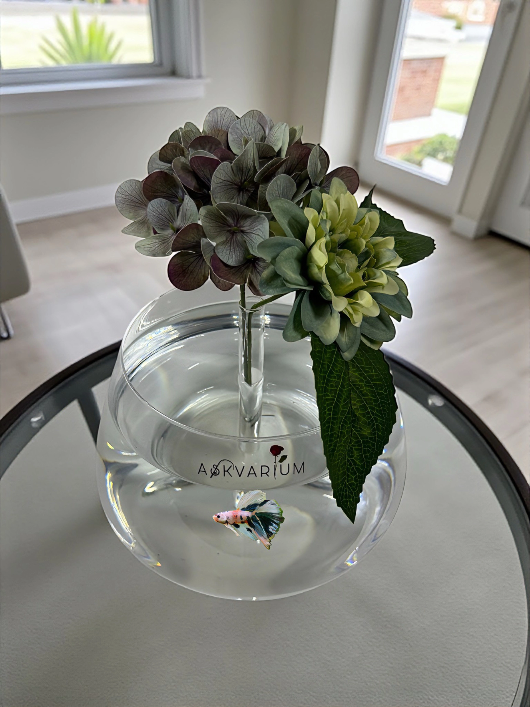 Labimb Fanus Askvarium