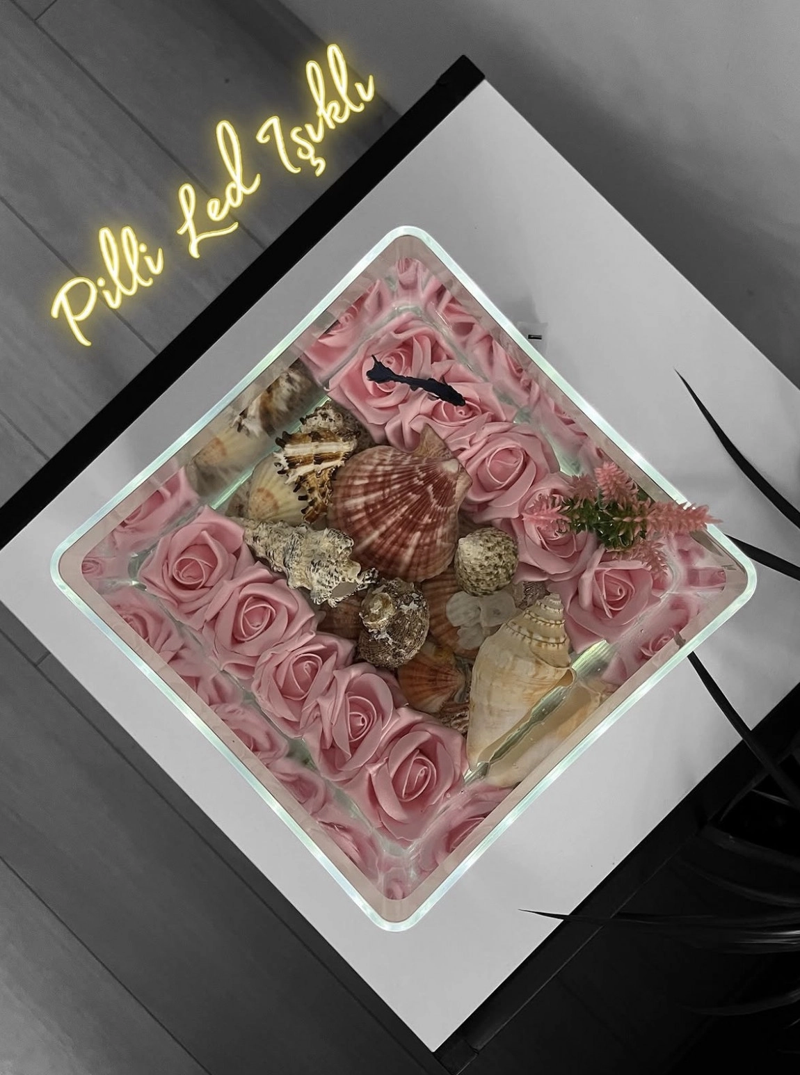 Ledli Pembe Gül Ve Deniz Kabuklu Askvarium
