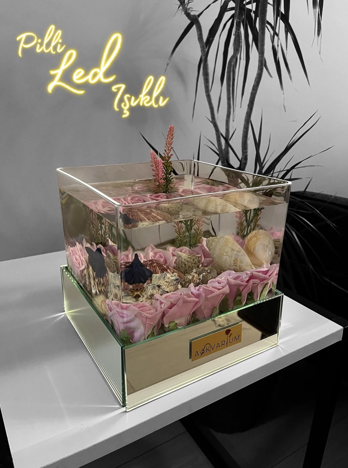 Ledli Pembe Gül Ve Deniz Kabuklu Askvarium