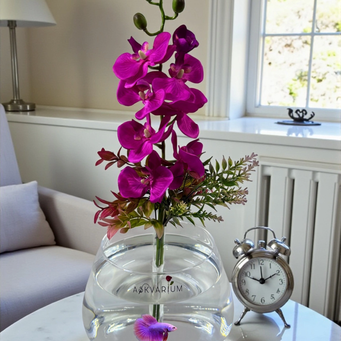 Lila Orkide Fanus Askvaryum