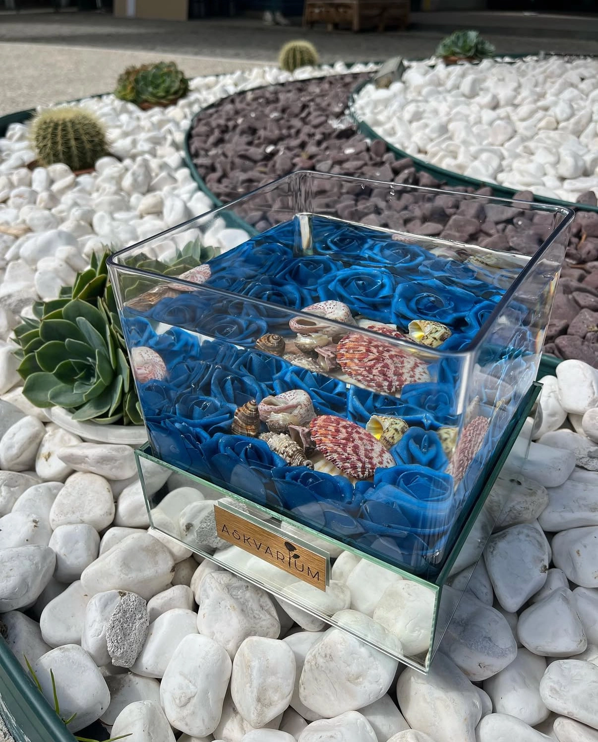Luyo Askvarium
