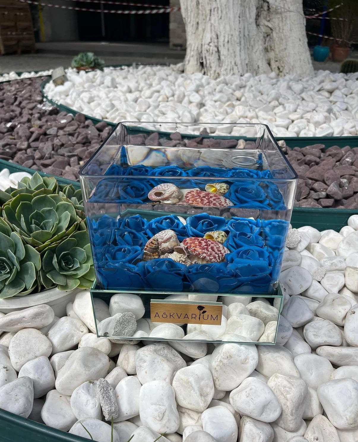 Luyo Askvarium