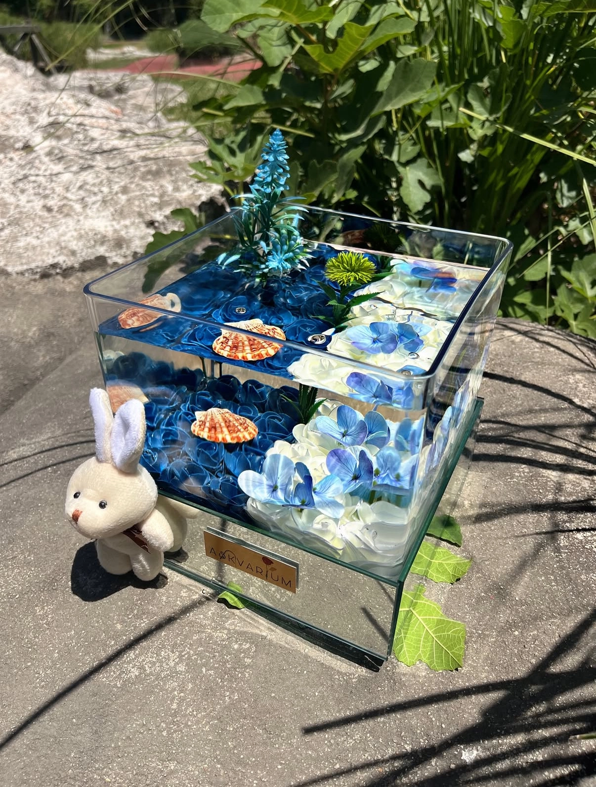 Mapae Askvarium