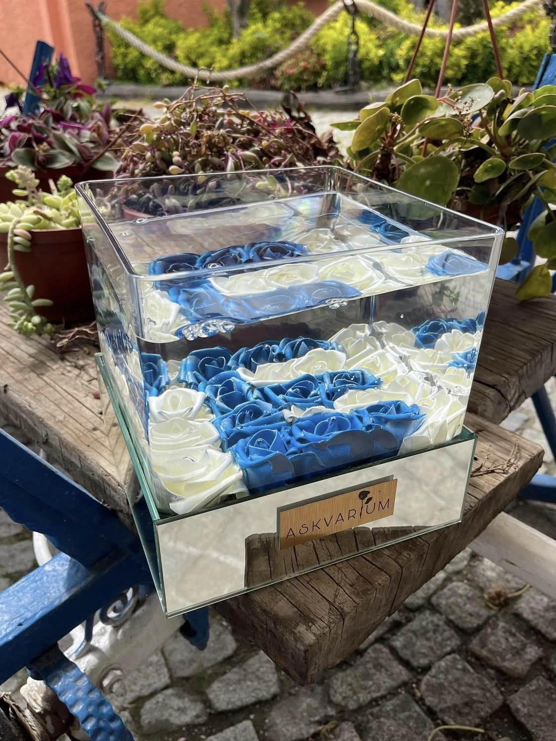 Mavs İsme Özel Askvarium