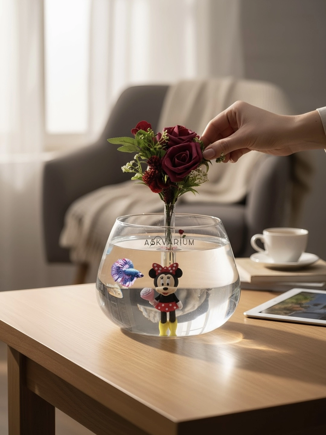 Min Fanus Aranjmanı