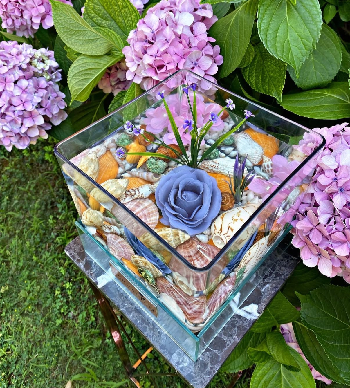 Mirz Askvarium