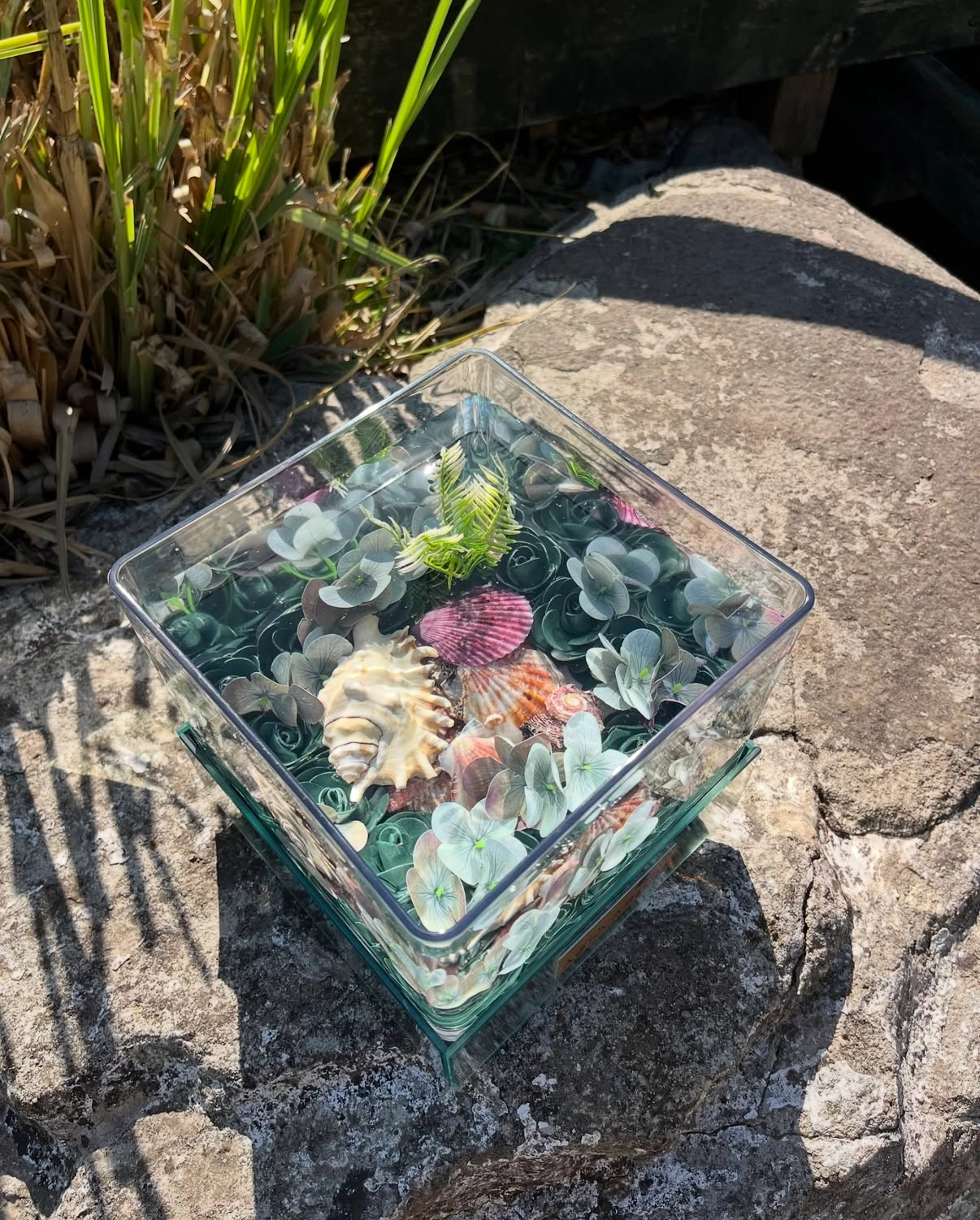 Momily Askvarium