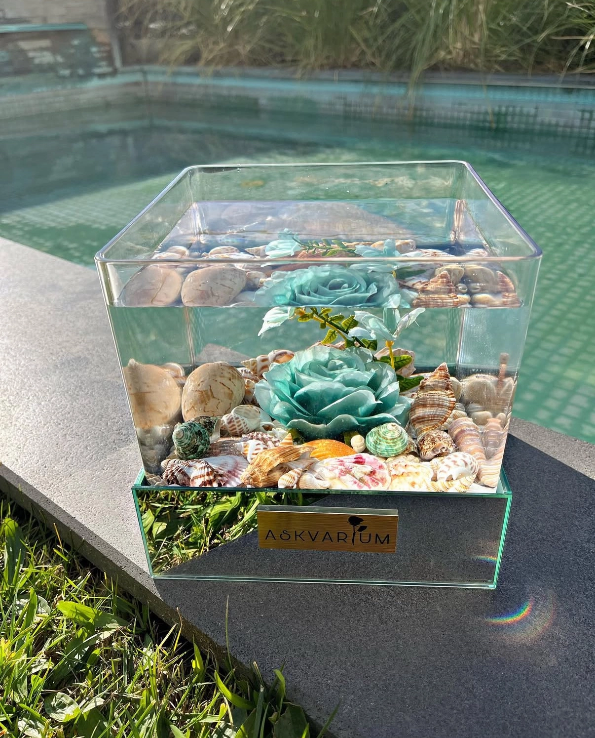 Mopel Askvarium