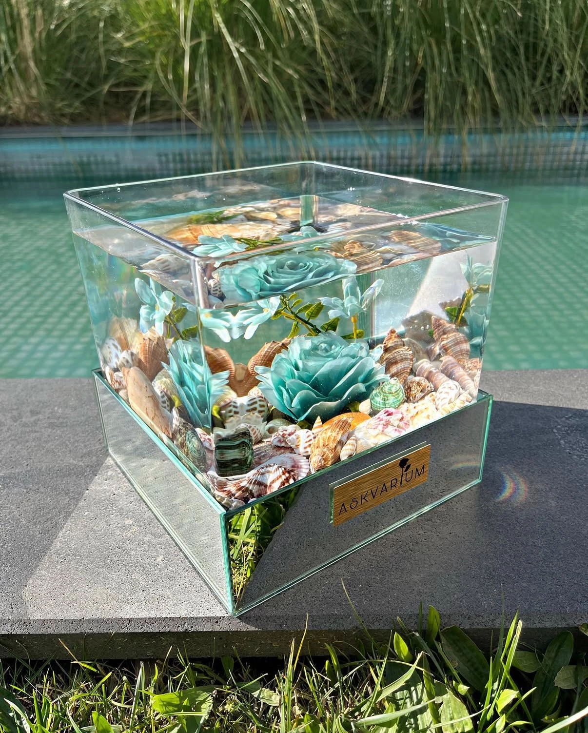 Mopel Askvarium