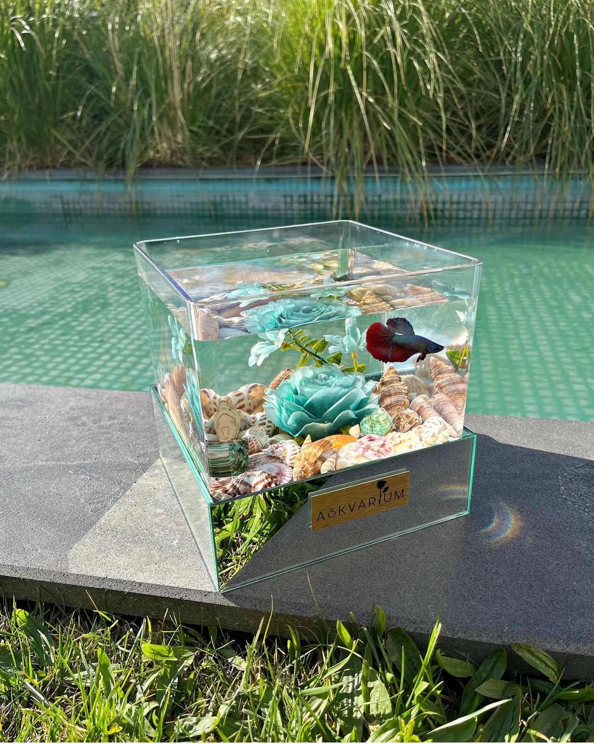 Mopel Askvarium