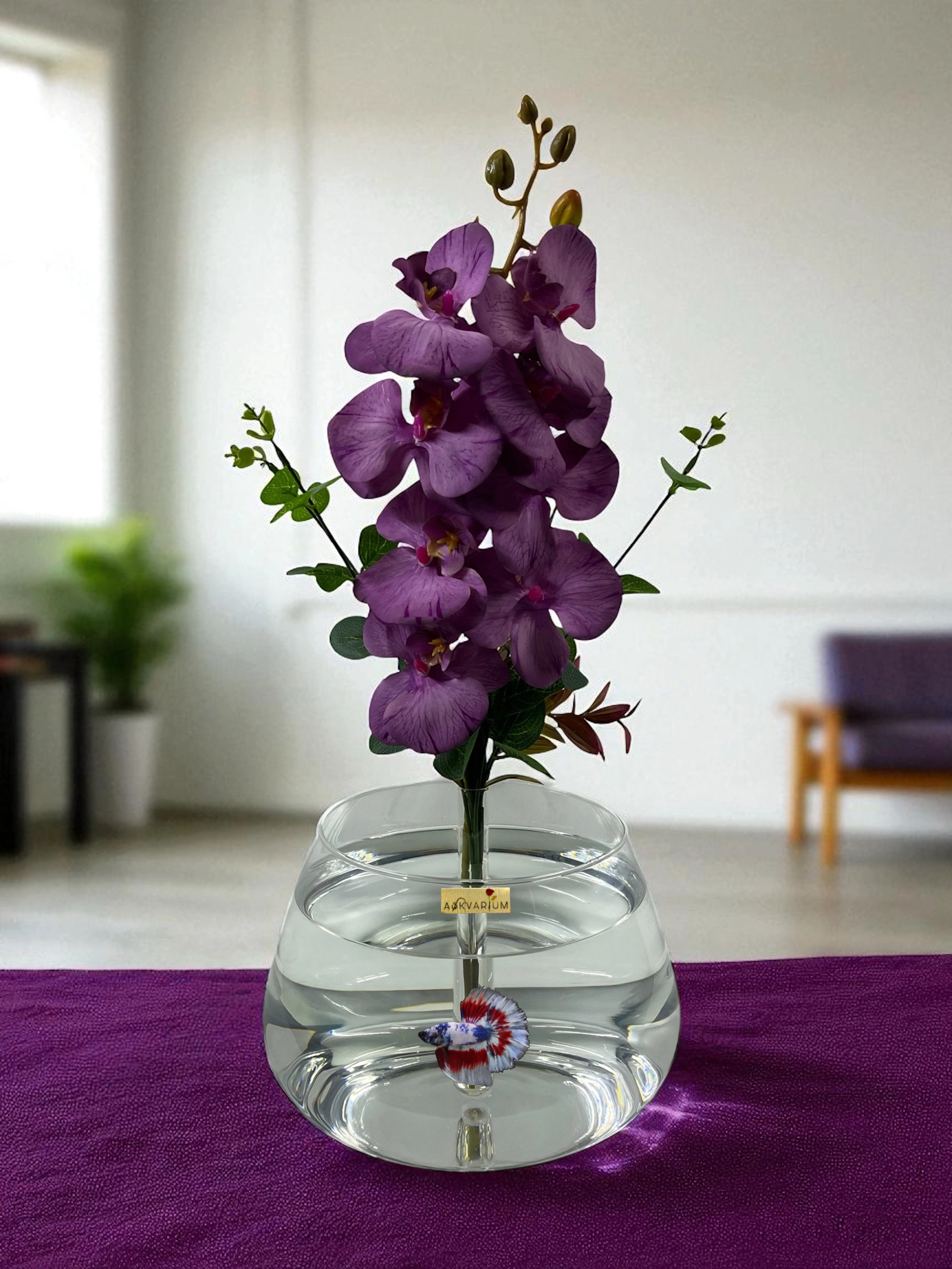 Mor Orkide Askvarium Fanus