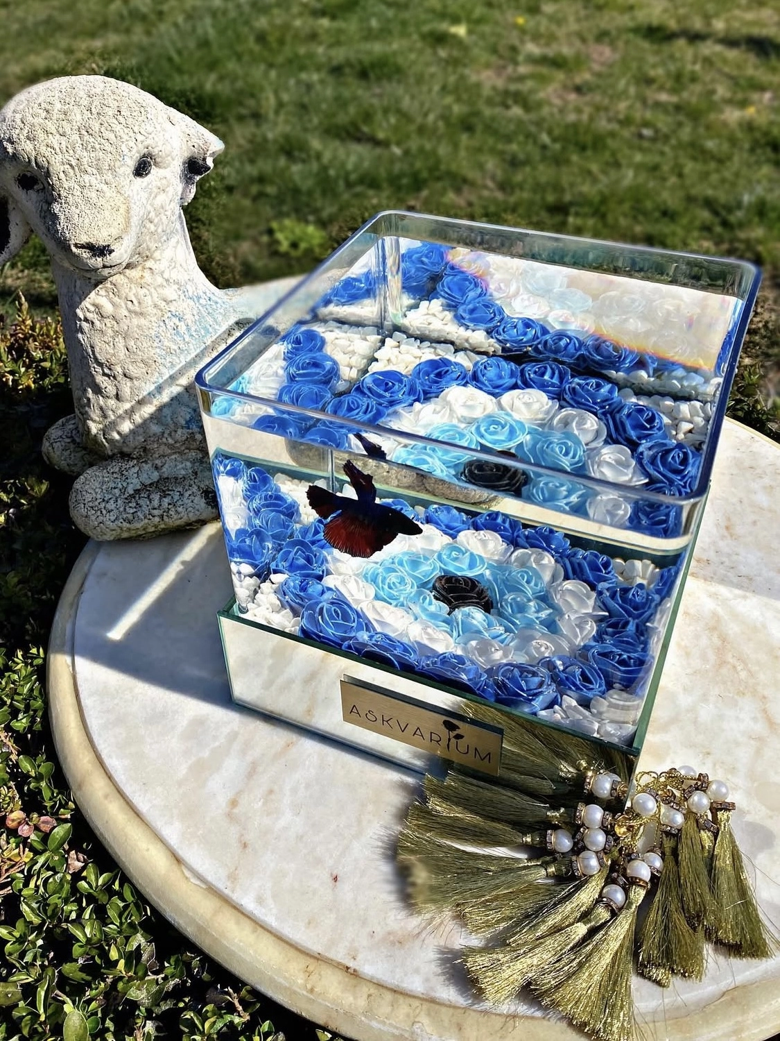 Nazar Boncuğu Askvarium