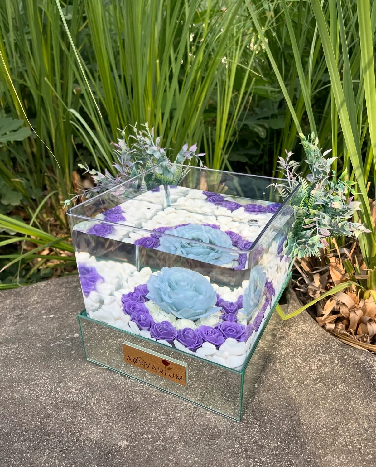 Ola Askvarium