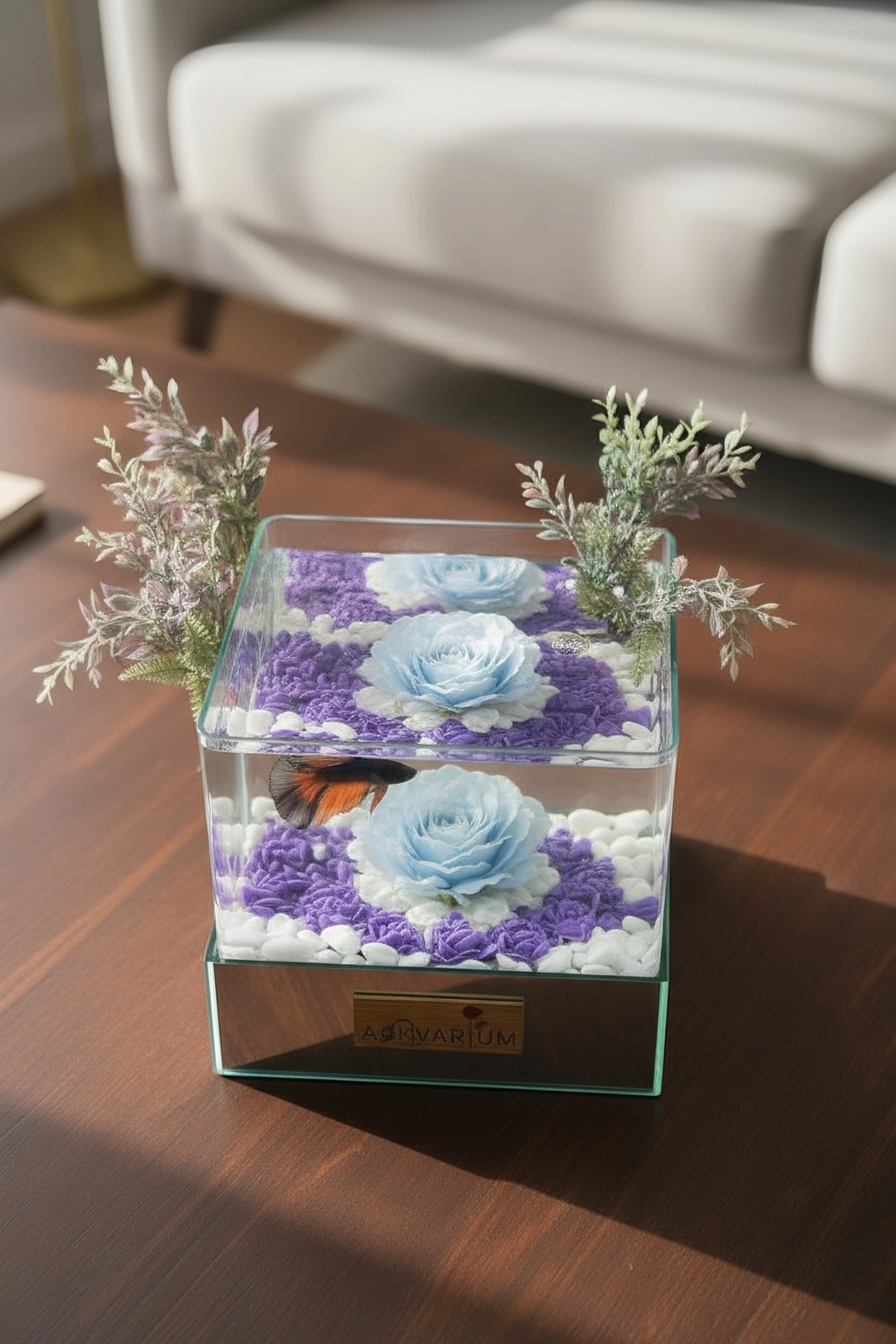 Ola Askvarium