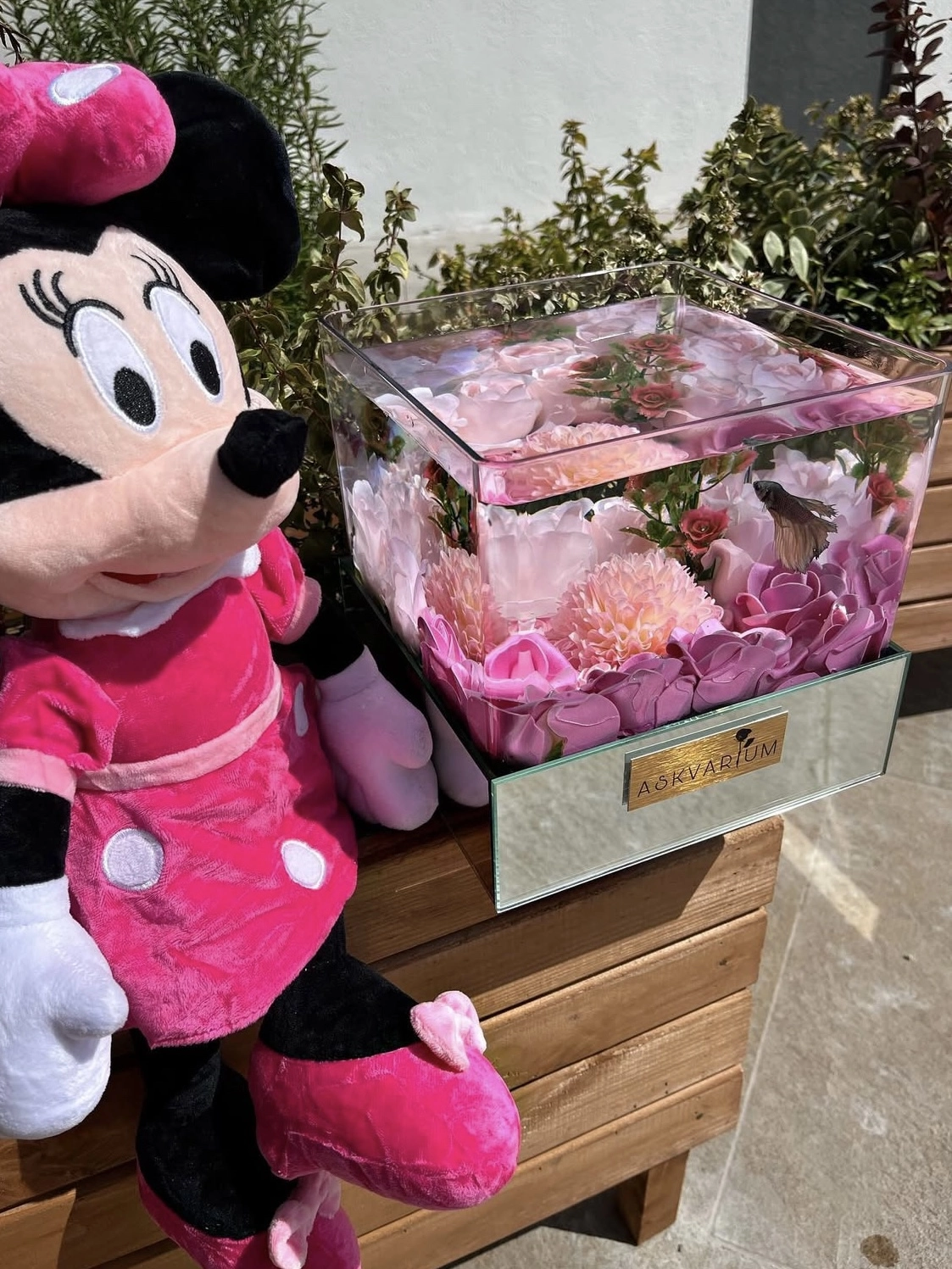 Peluş Hediyeli Pemp Askvarium