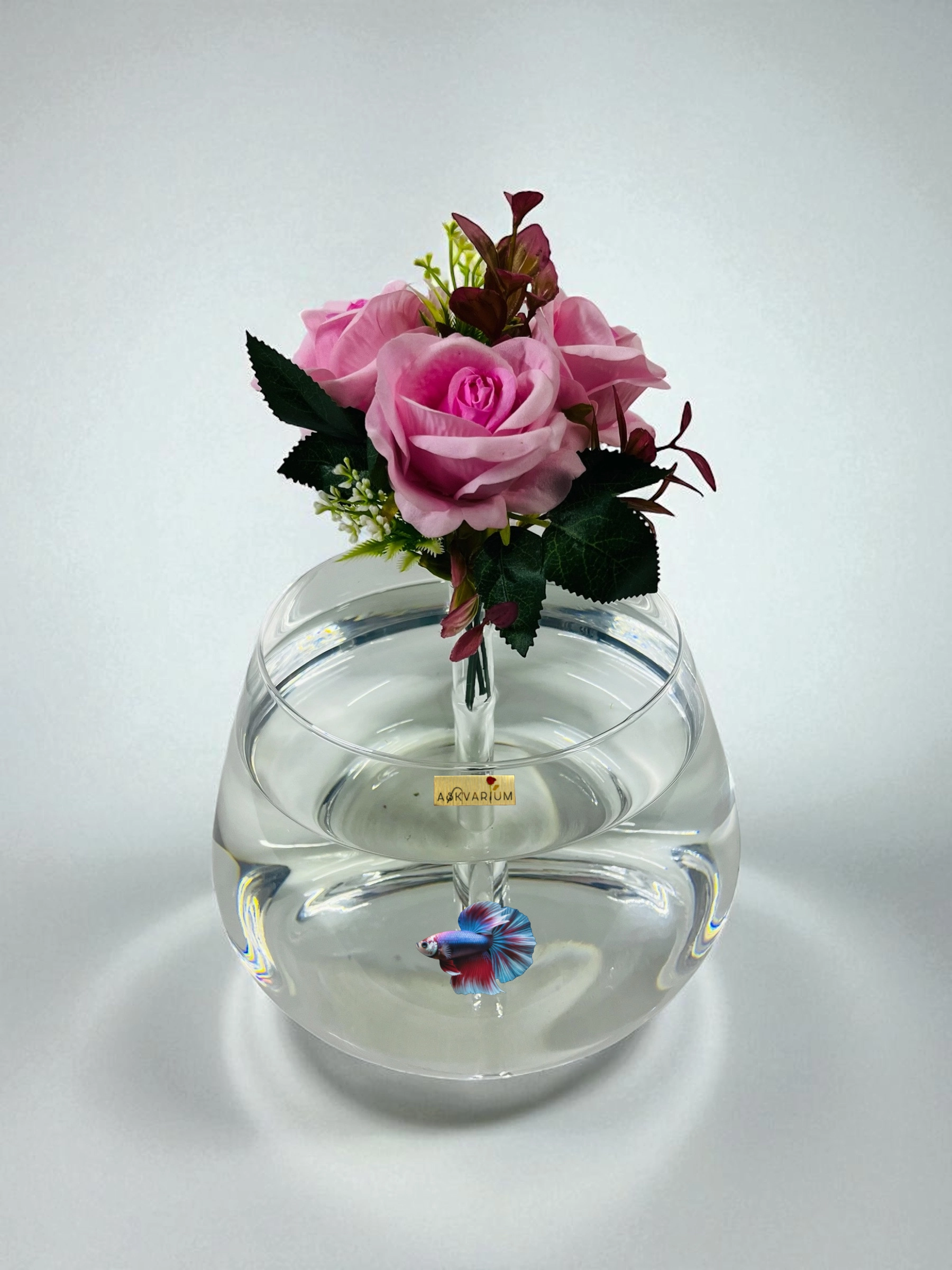 Popps Cam Fanus Askvarium