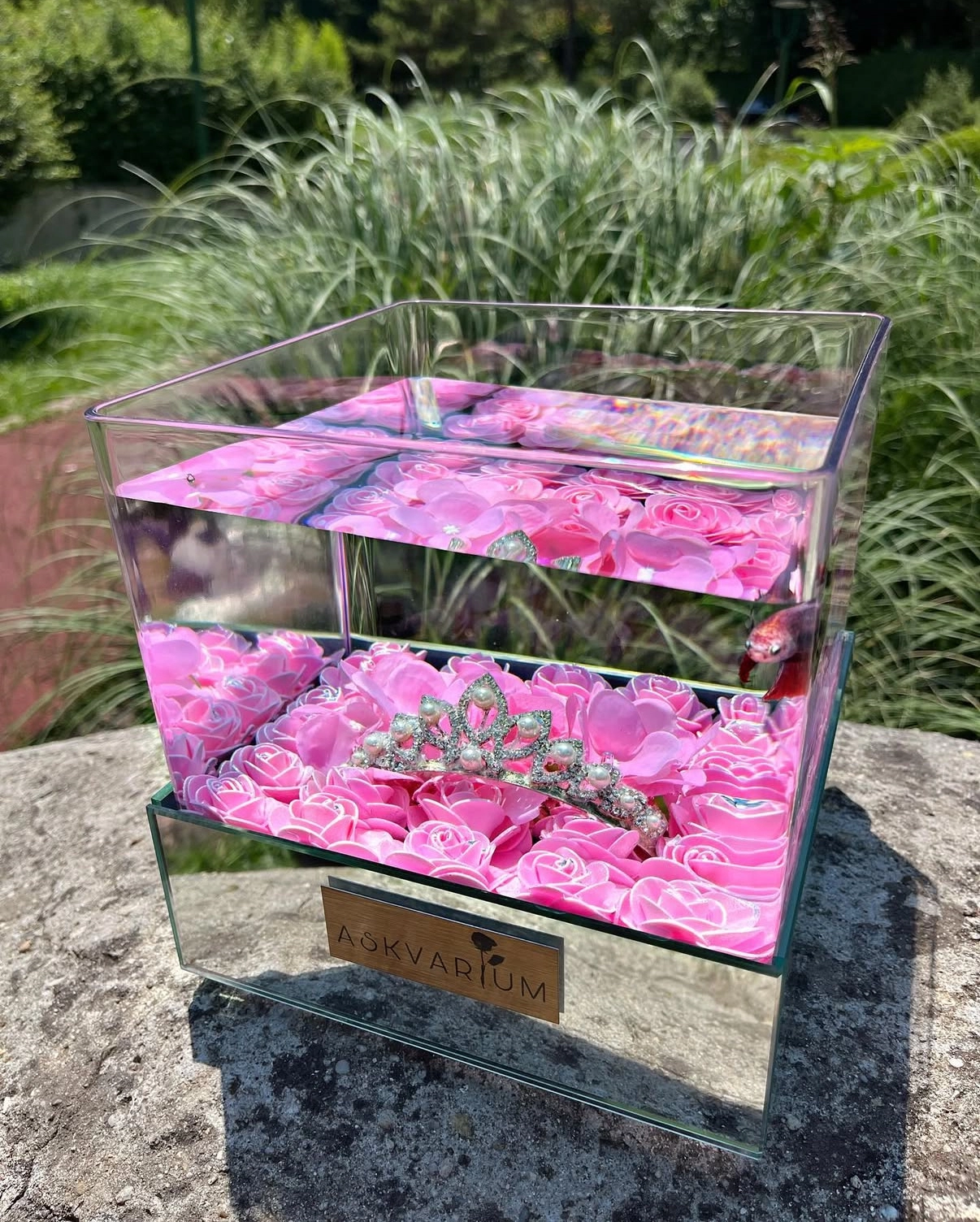 Princess Askvarium