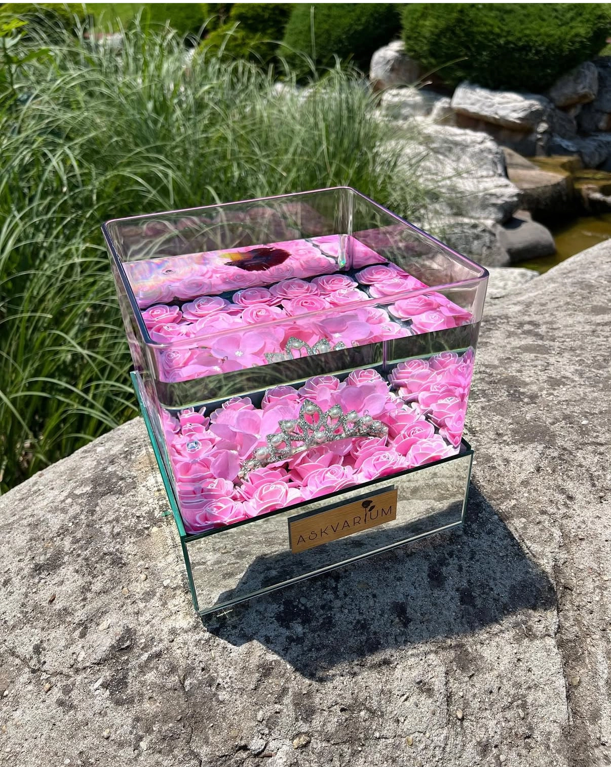 Princess Askvarium