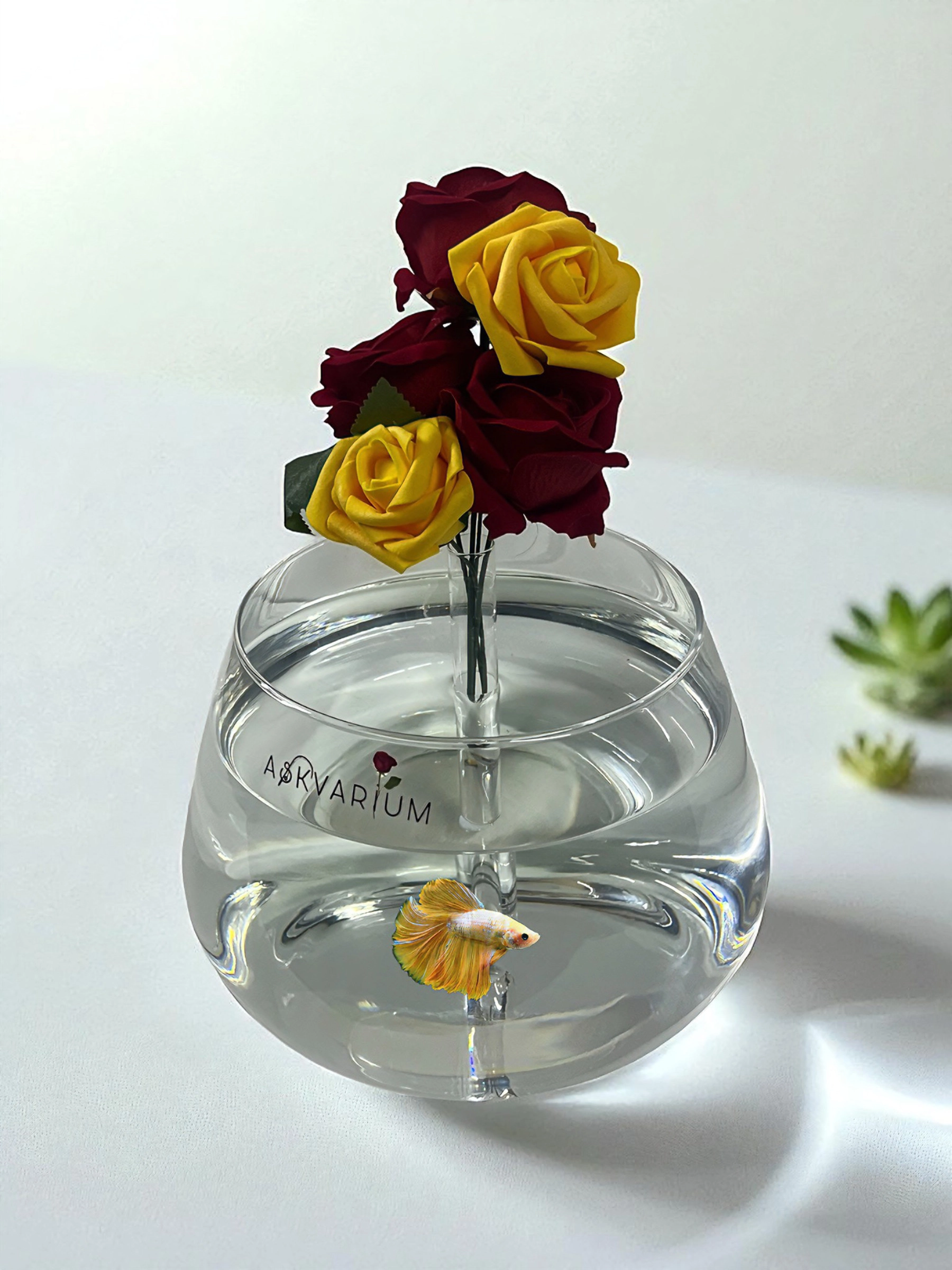 Sarı Kırmızı Güllü Fanus