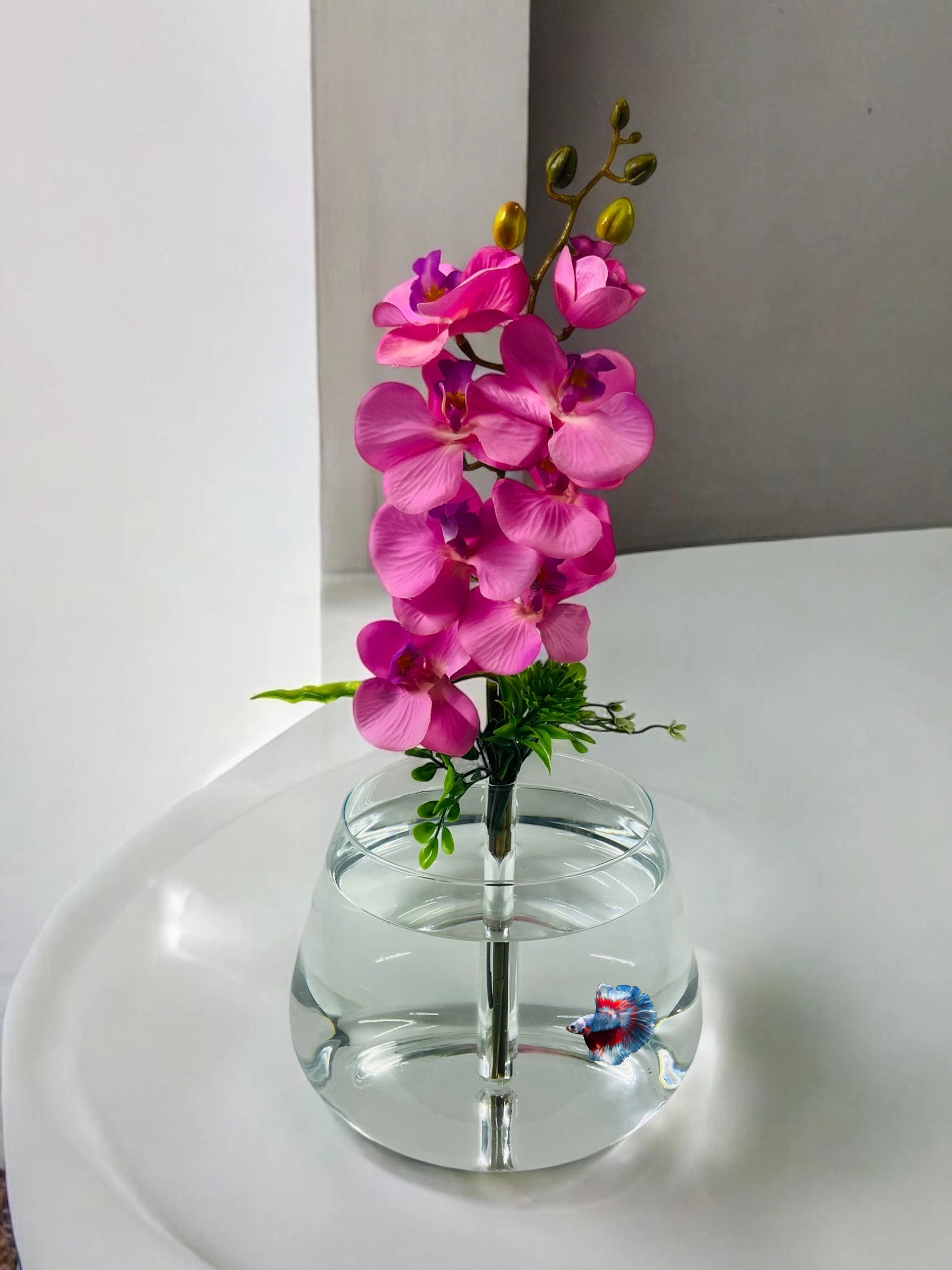 Tek Dal Pembe Orkide Fanus