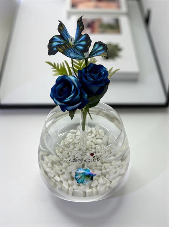 Blue Butterfly Love Fanus Aranjmanı