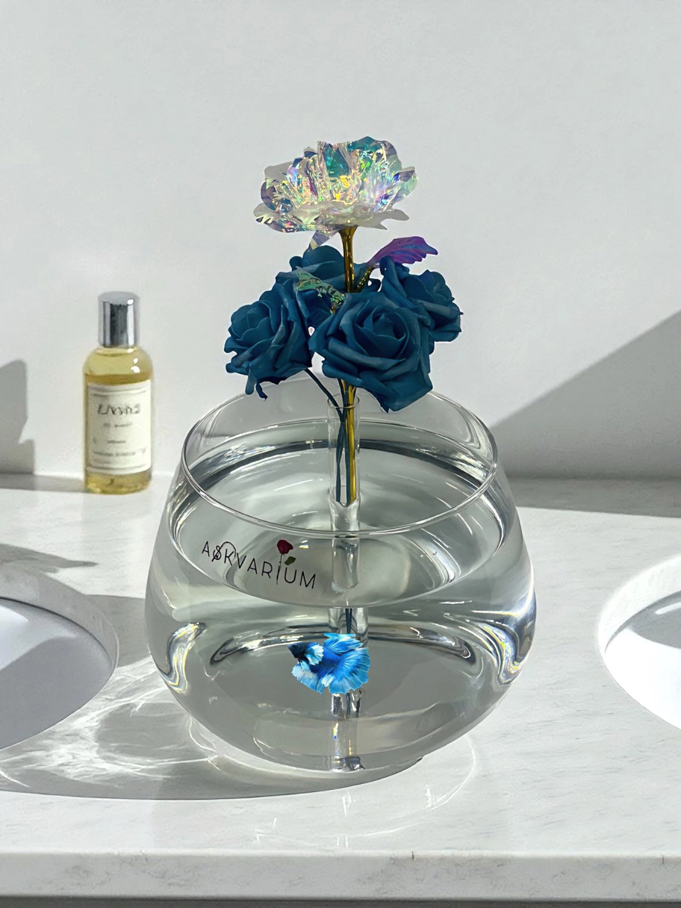 Blugram Cam Fanus Serisi