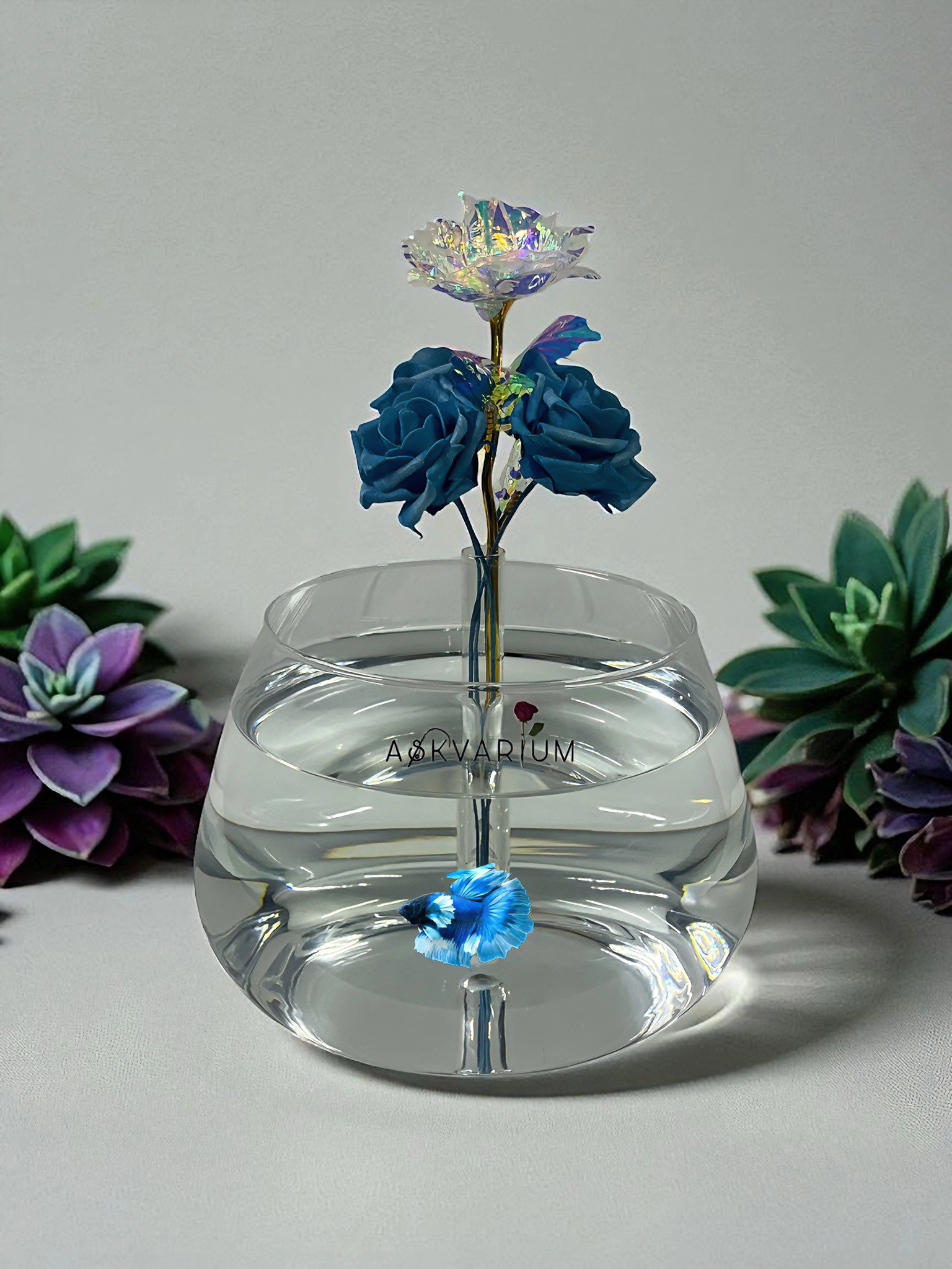 Blugram Cam Fanus Serisi