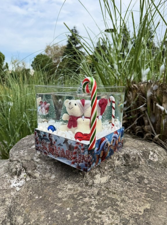 Christmas Askvarium 2026