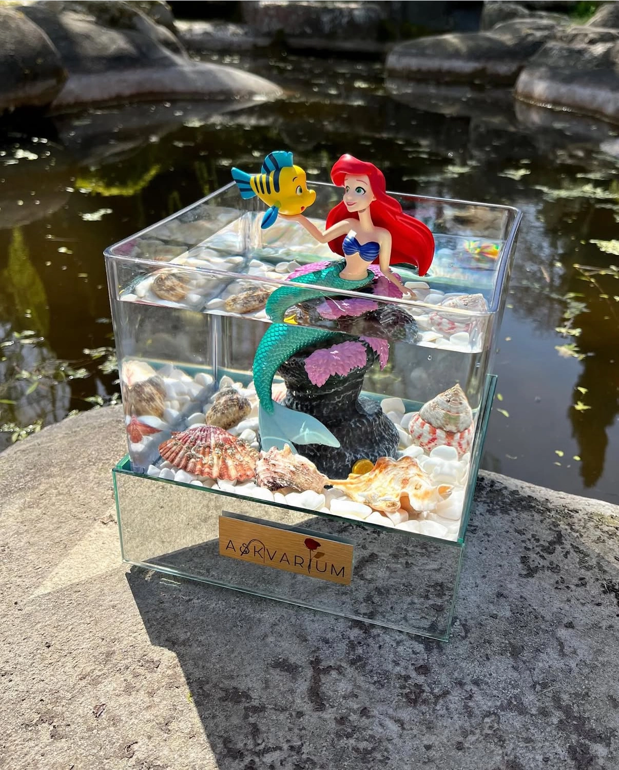 Deniz Kızı Ariel Askvarium