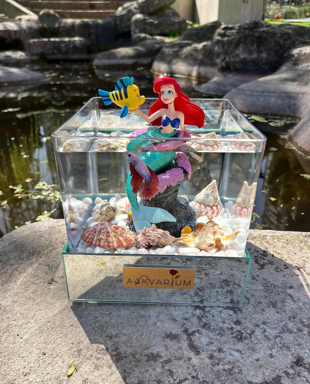 Deniz Kızı Ariel Askvarium