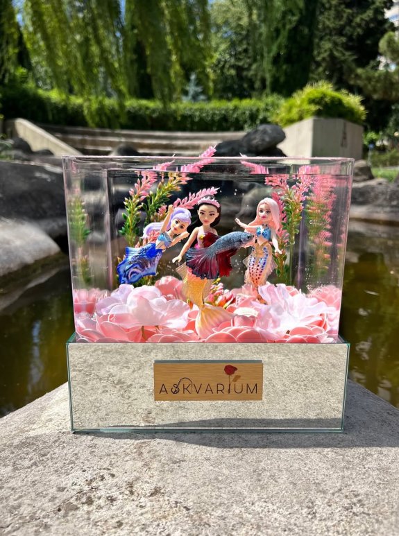 Deniz Kızları Pops Askvarium