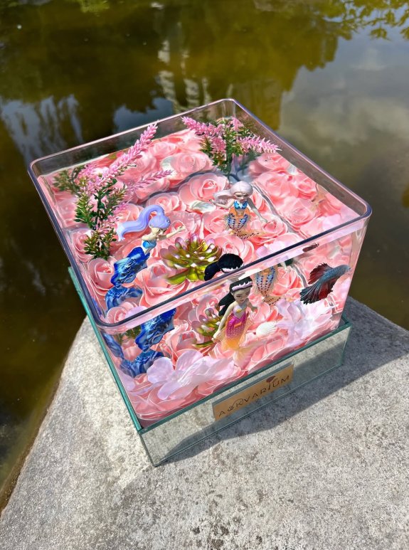 Deniz Kızları Pops Askvarium