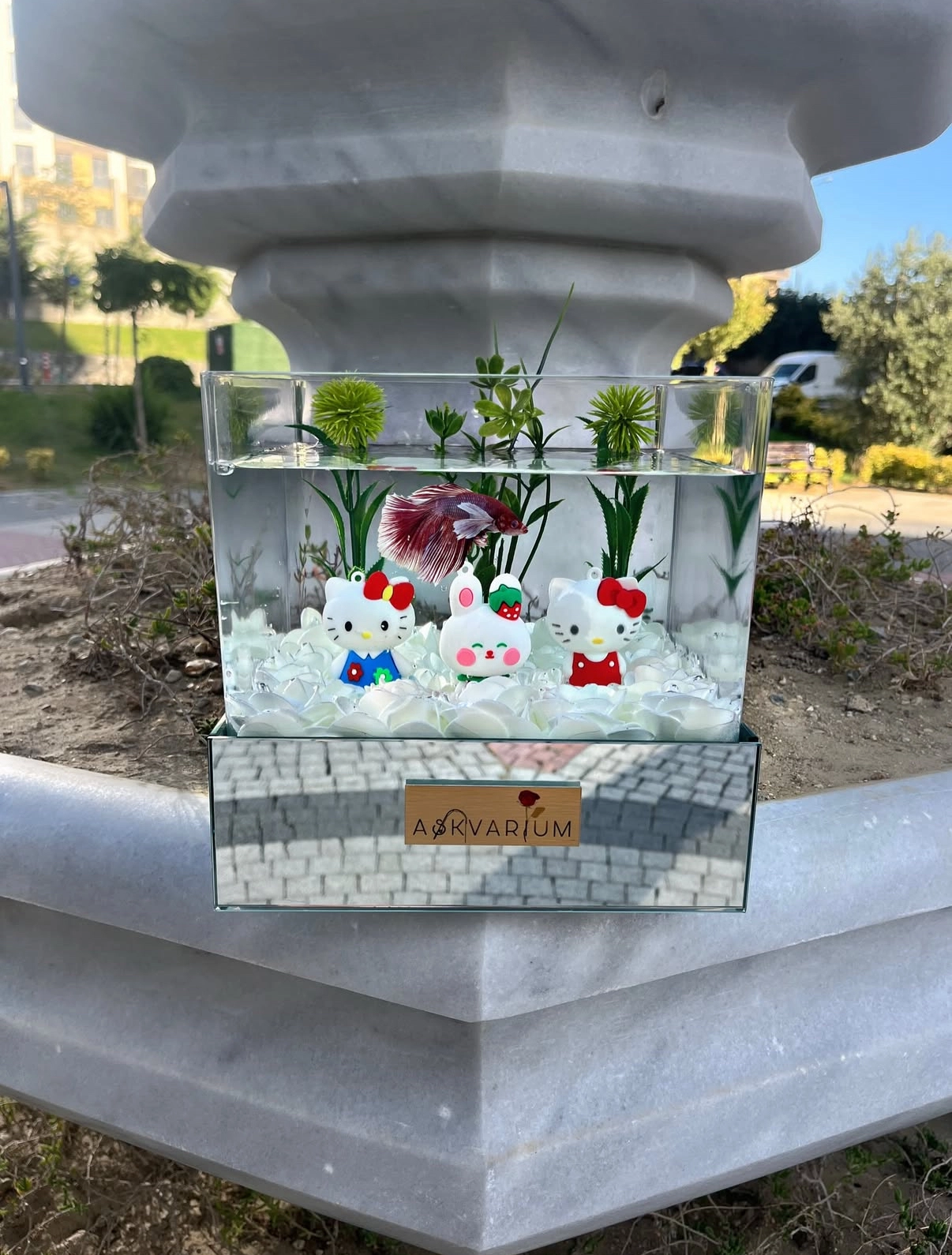 Hello Kitty Lol Askvarium