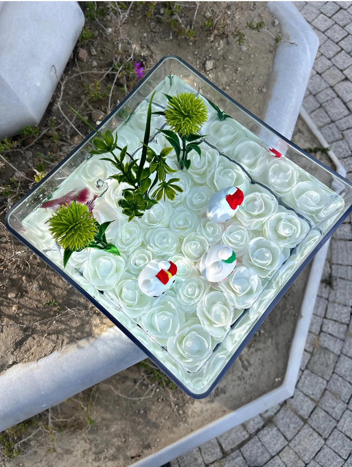 Hello Kitty Lol Askvarium