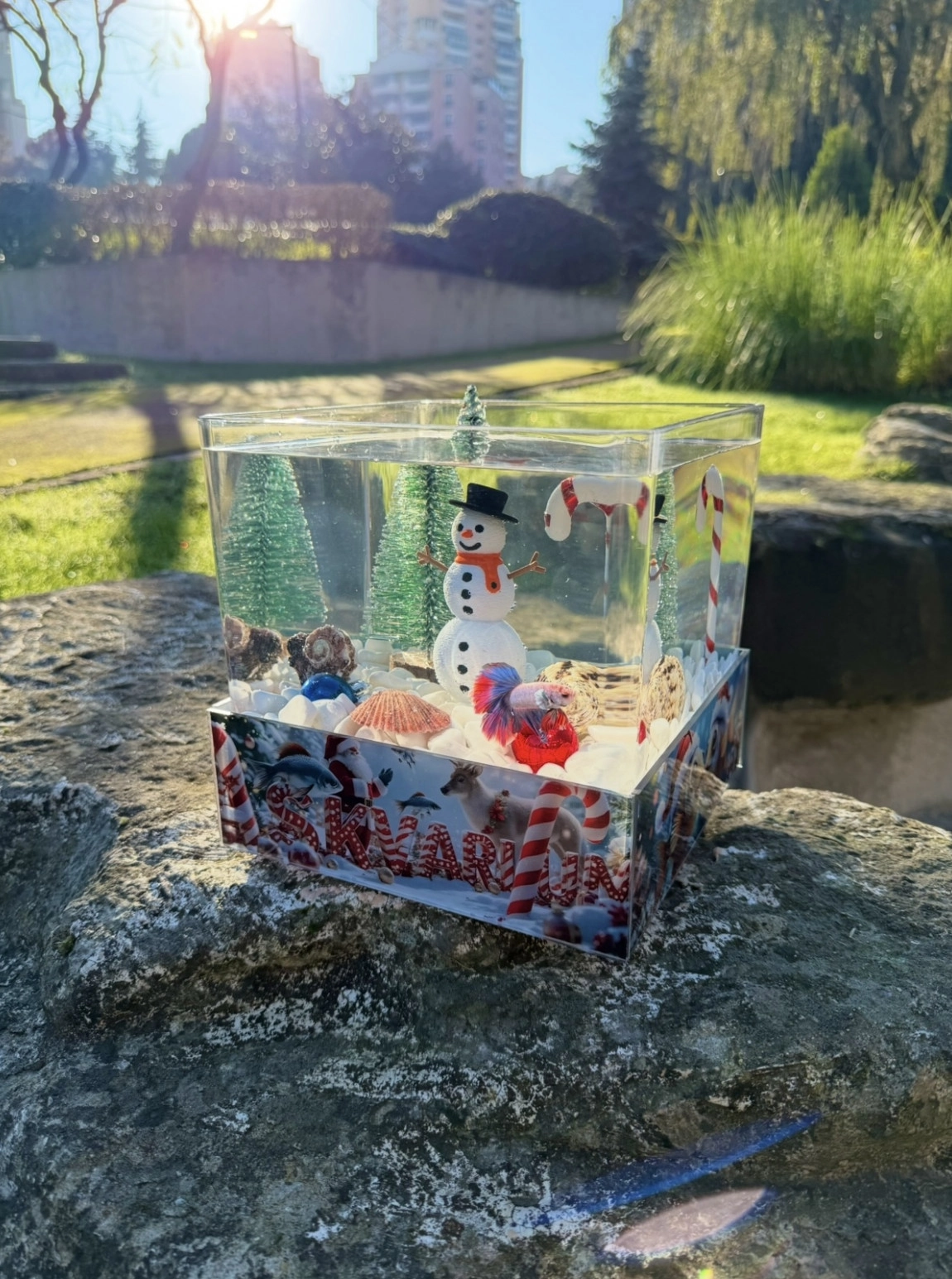 Kardan Adam 2026 Askvarium