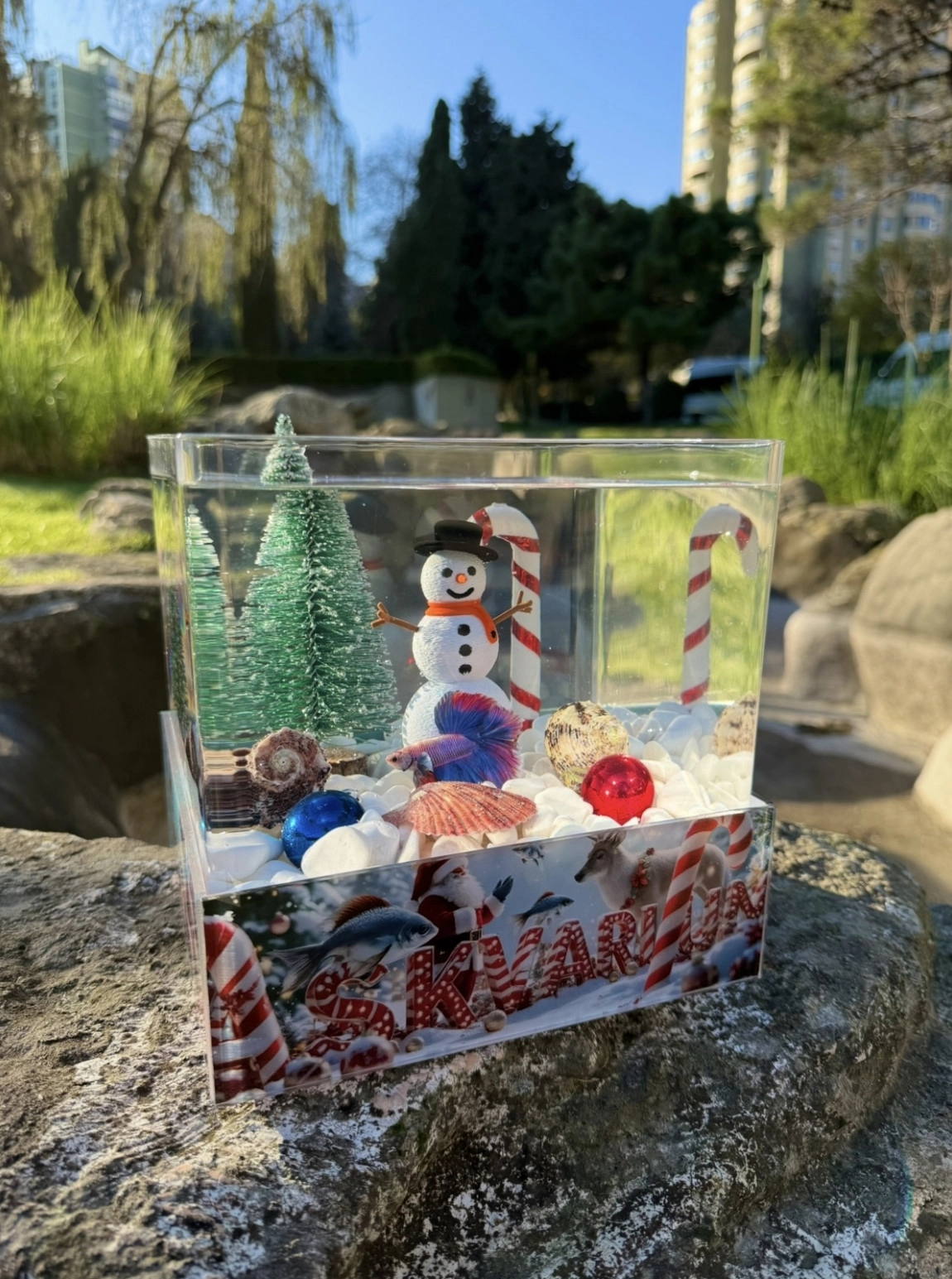 Kardan Adam 2026 Askvarium