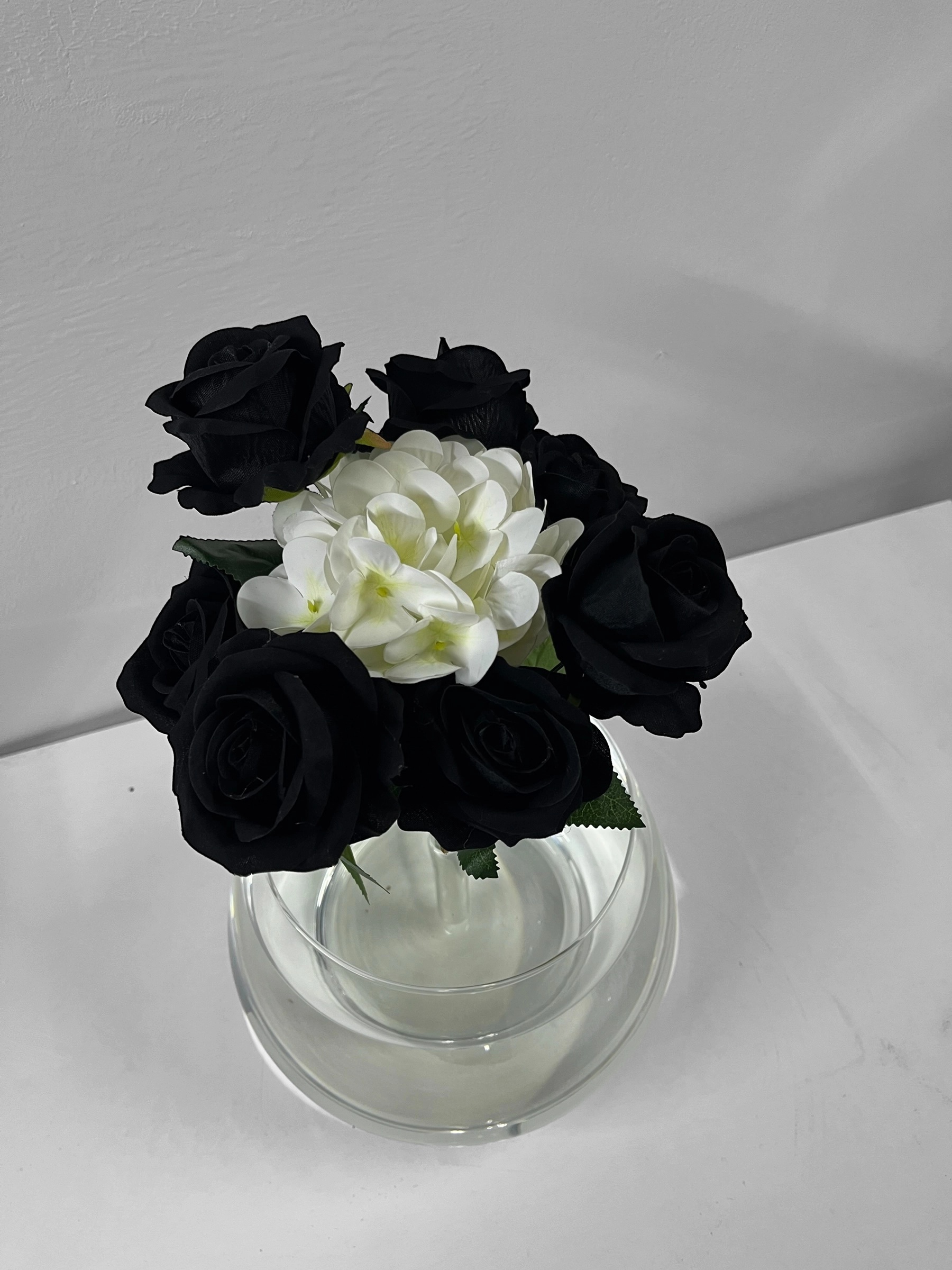 Klopsy Cam Fanus Askvarium