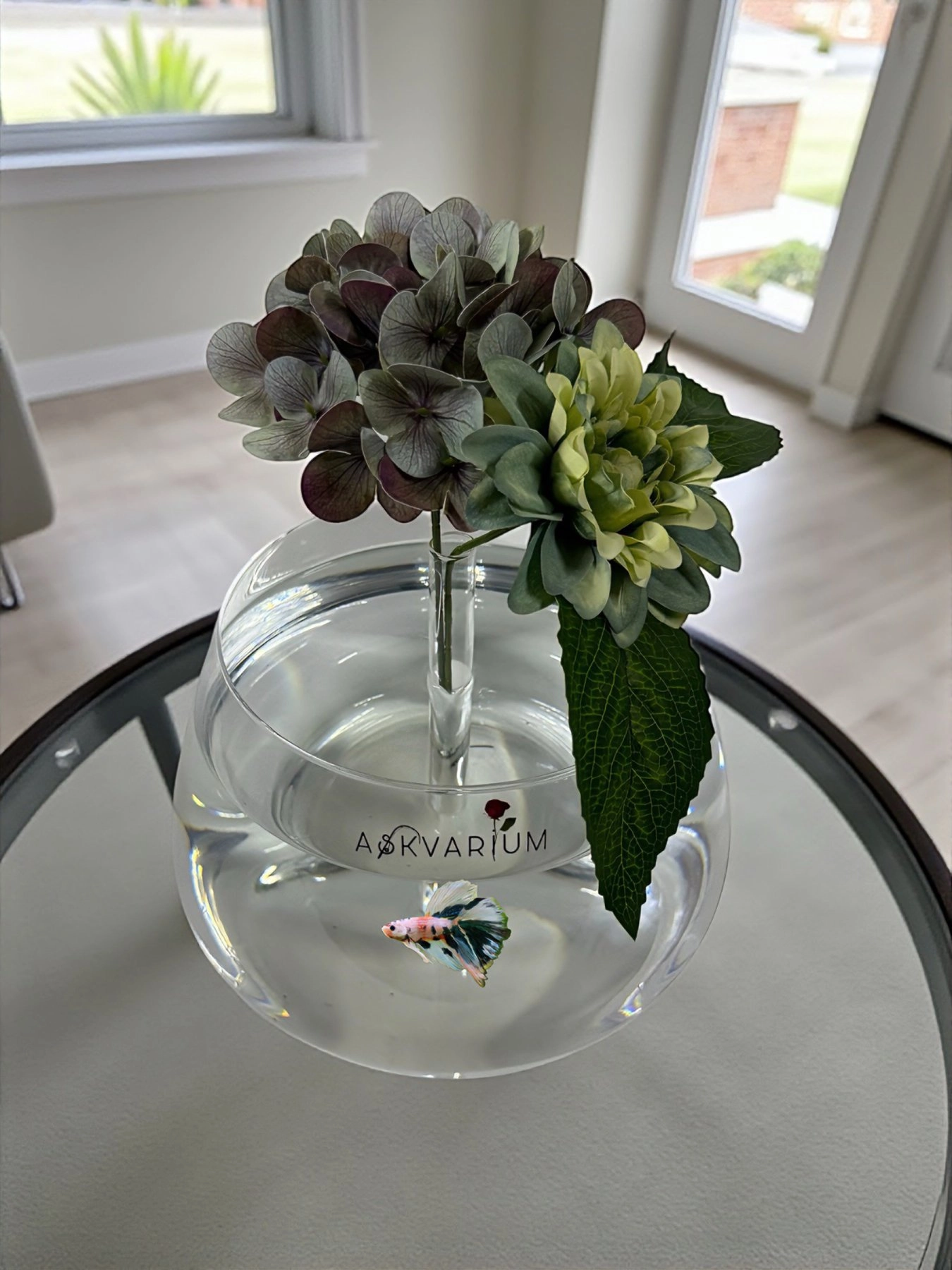 Labimb Fanus Askvarium