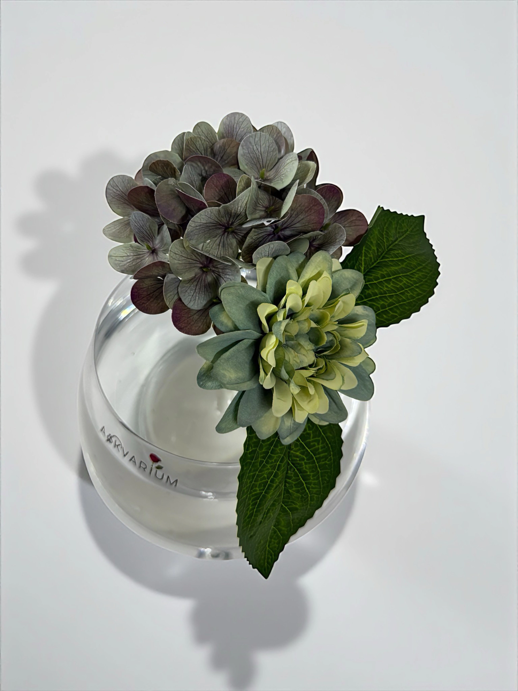 Labimb Fanus Askvarium