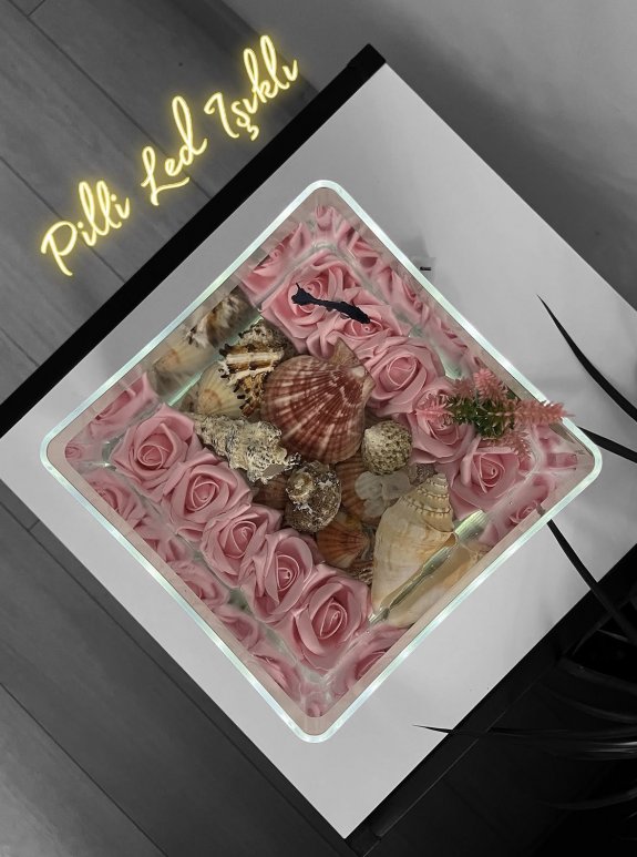 Ledli Pembe Gül Ve Deniz Kabuklu Askvarium