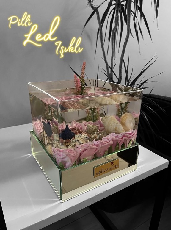 Ledli Pembe Gül Ve Deniz Kabuklu Askvarium