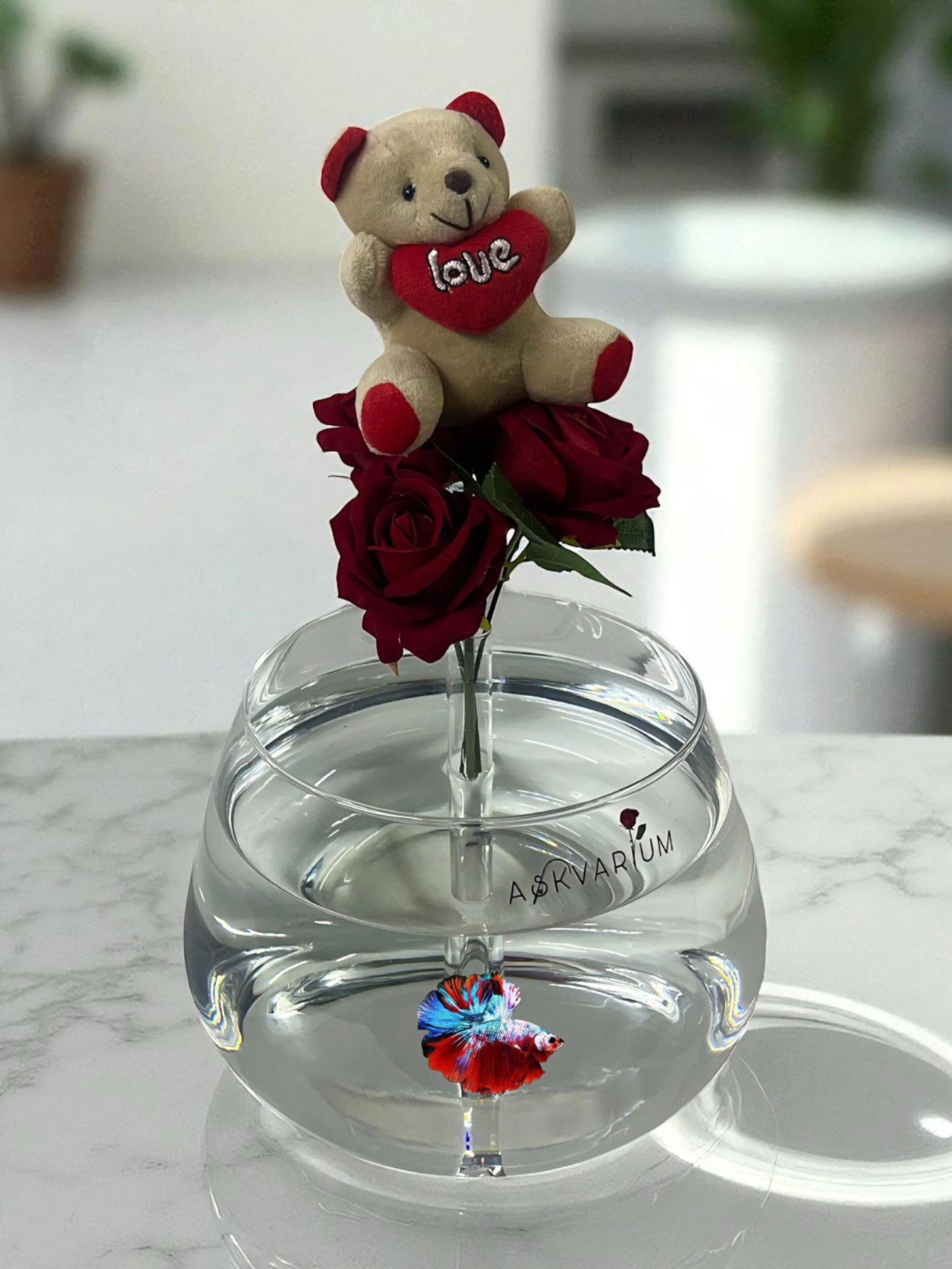 Lovebens Cam Fanus Askvarium