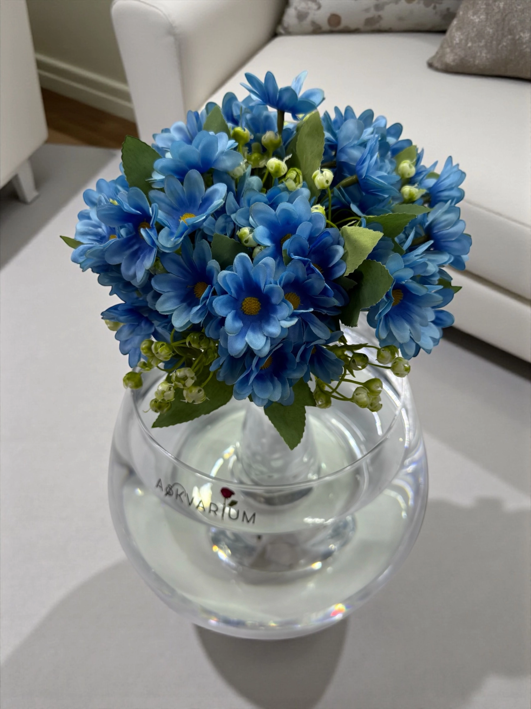 Mavi Daisy Fanus Aranjmanı