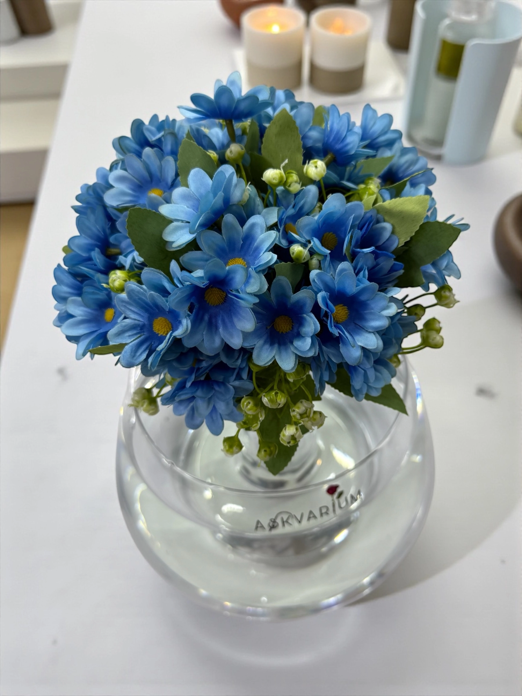 Mavi Daisy Fanus Aranjmanı