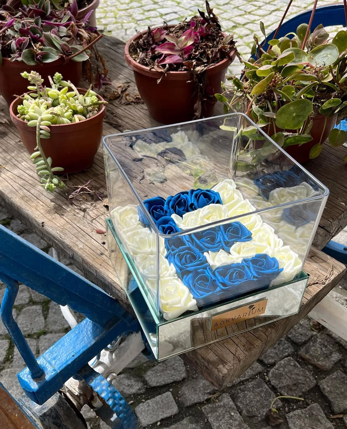 Mavs İsme Özel Askvarium